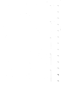 LEUCHTTURM Čisté listy bez tisku - 331407
